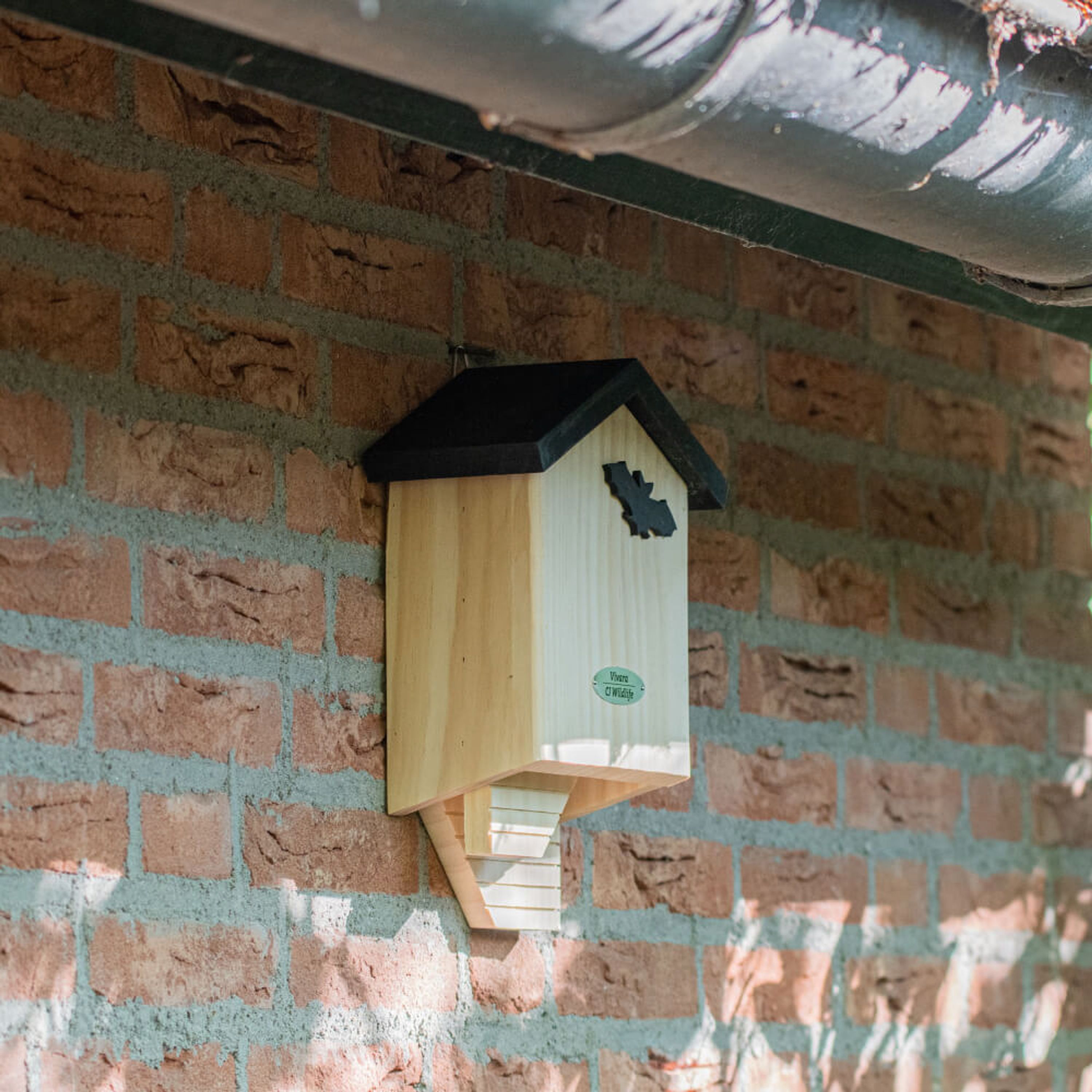 Fledermauskasten „Chaumont“ | CJ Wildlife