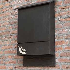 Stor Fladdermusholk Causa