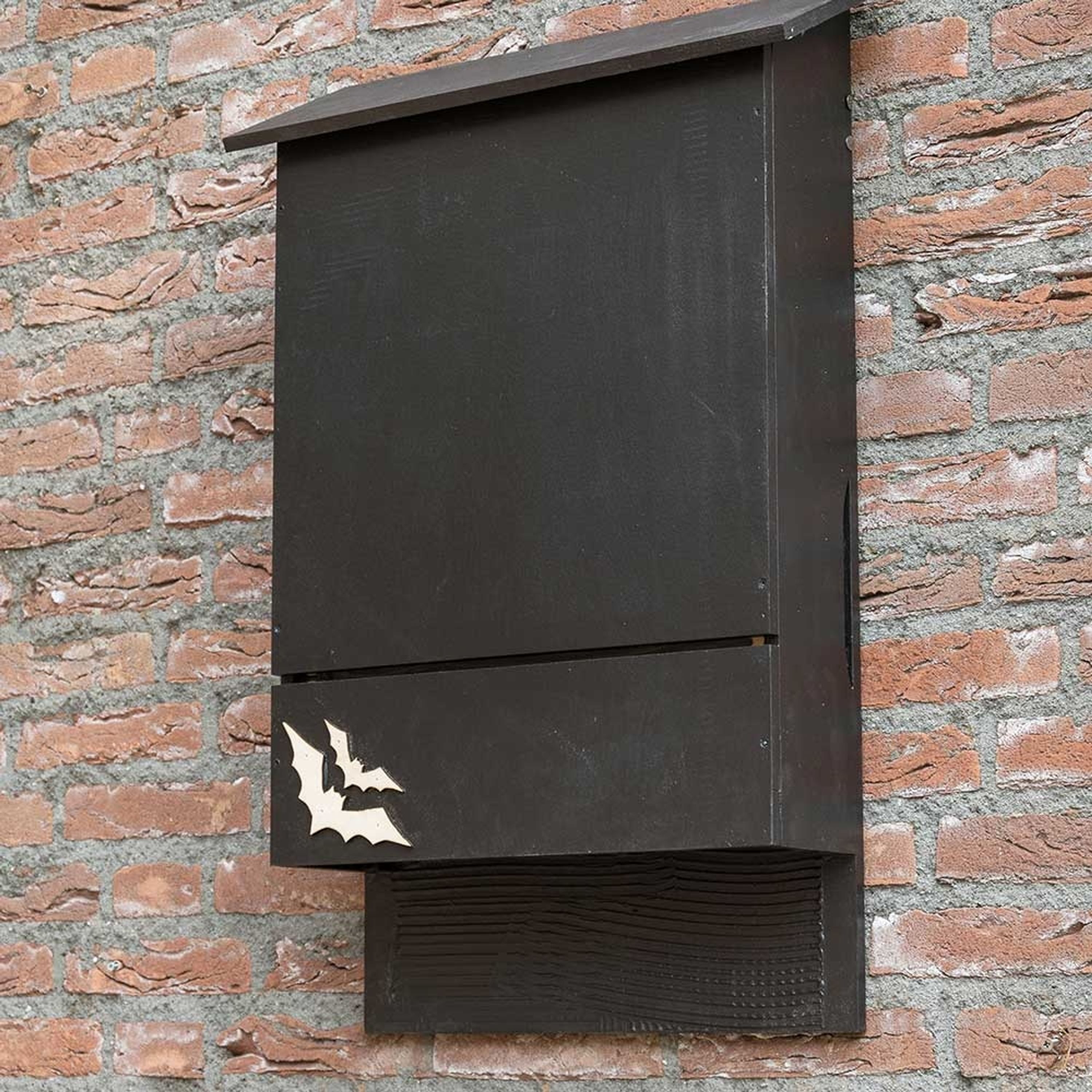Causa Extra Large Wooden Bat Box