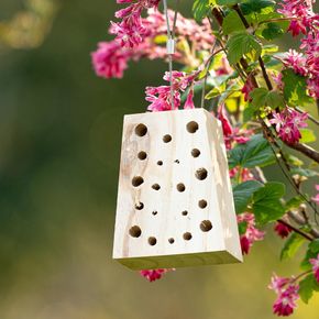 Navariso lite insekthotell