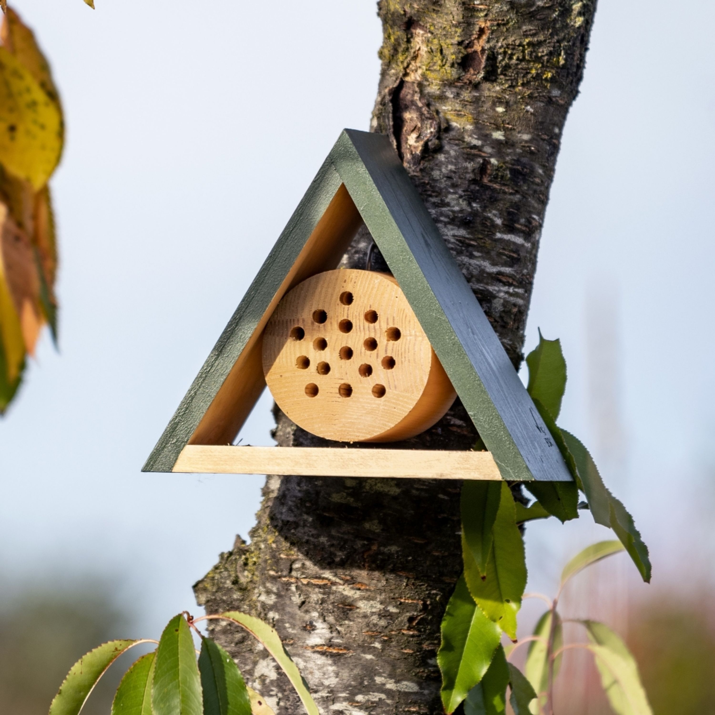 Meilleurs prix pour Hôtel à insectes Jarvis - Petit | Vivara