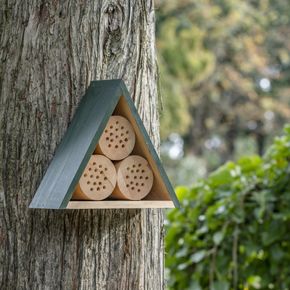 Jarvis Bee & Insect Hotel - Medium
