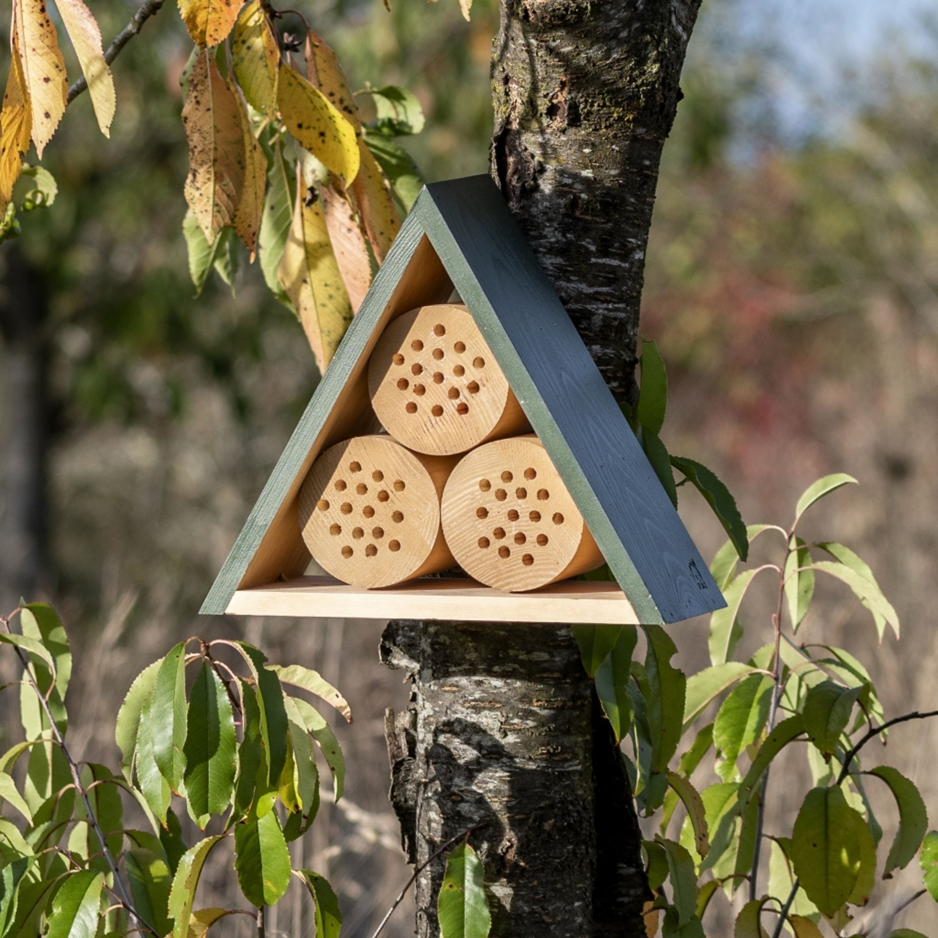 Comparer les prix de Hôtel à insectes Jarvis - Moyen | Vivara