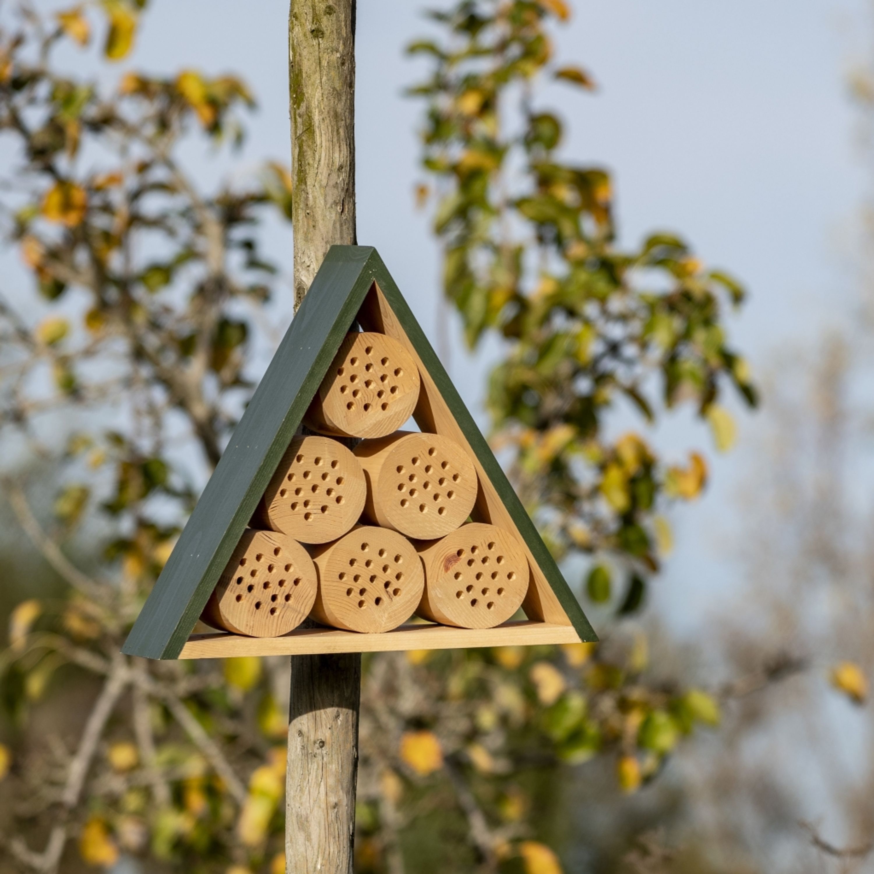 Meilleurs prix pour Hôtel à insectes Jarvis - Grand | Vivara