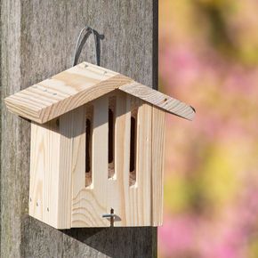 Kids Bouwpakket Vlinderhuis Dana