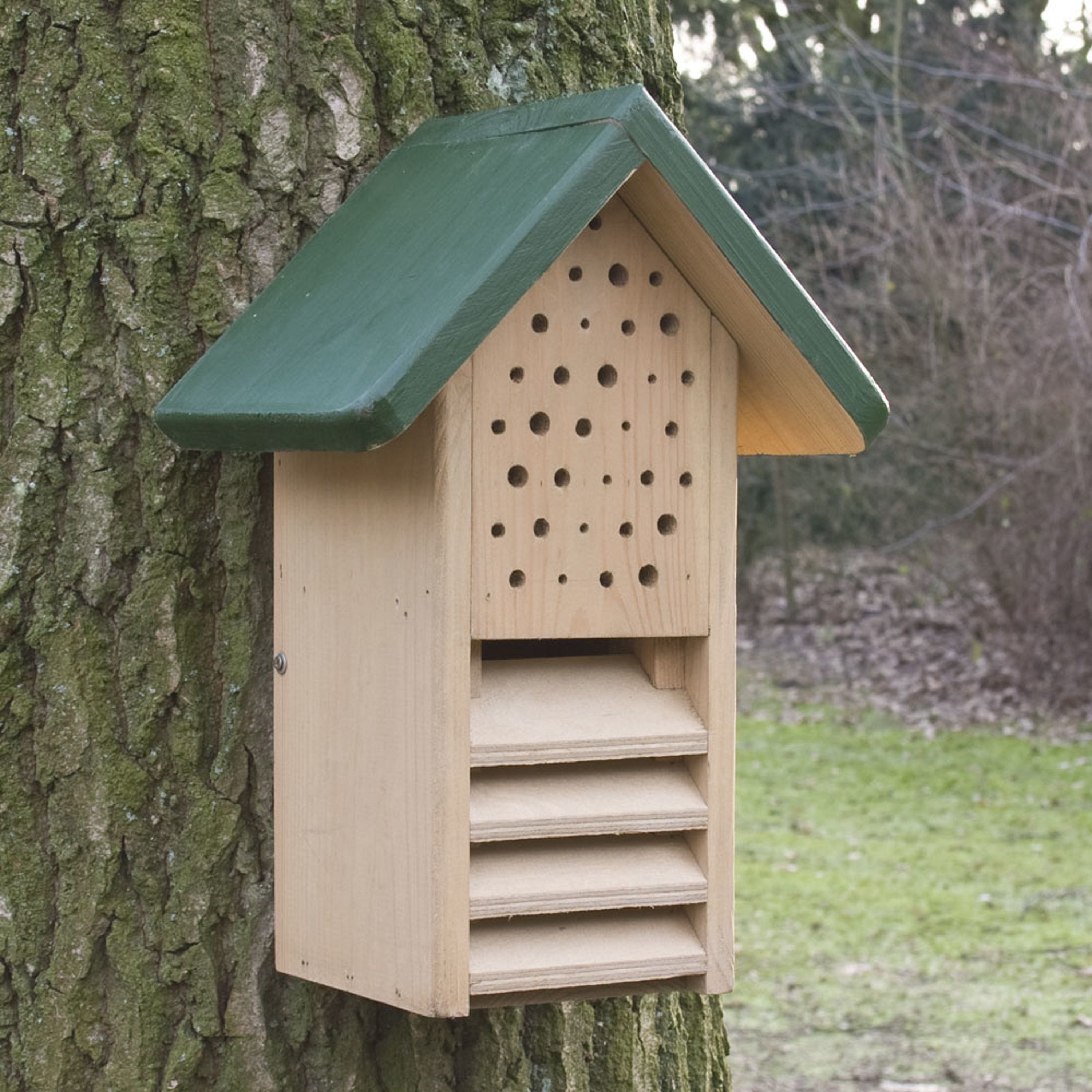 Duokast bij en lieveheersbeestje - Groen | CJ Wildlife