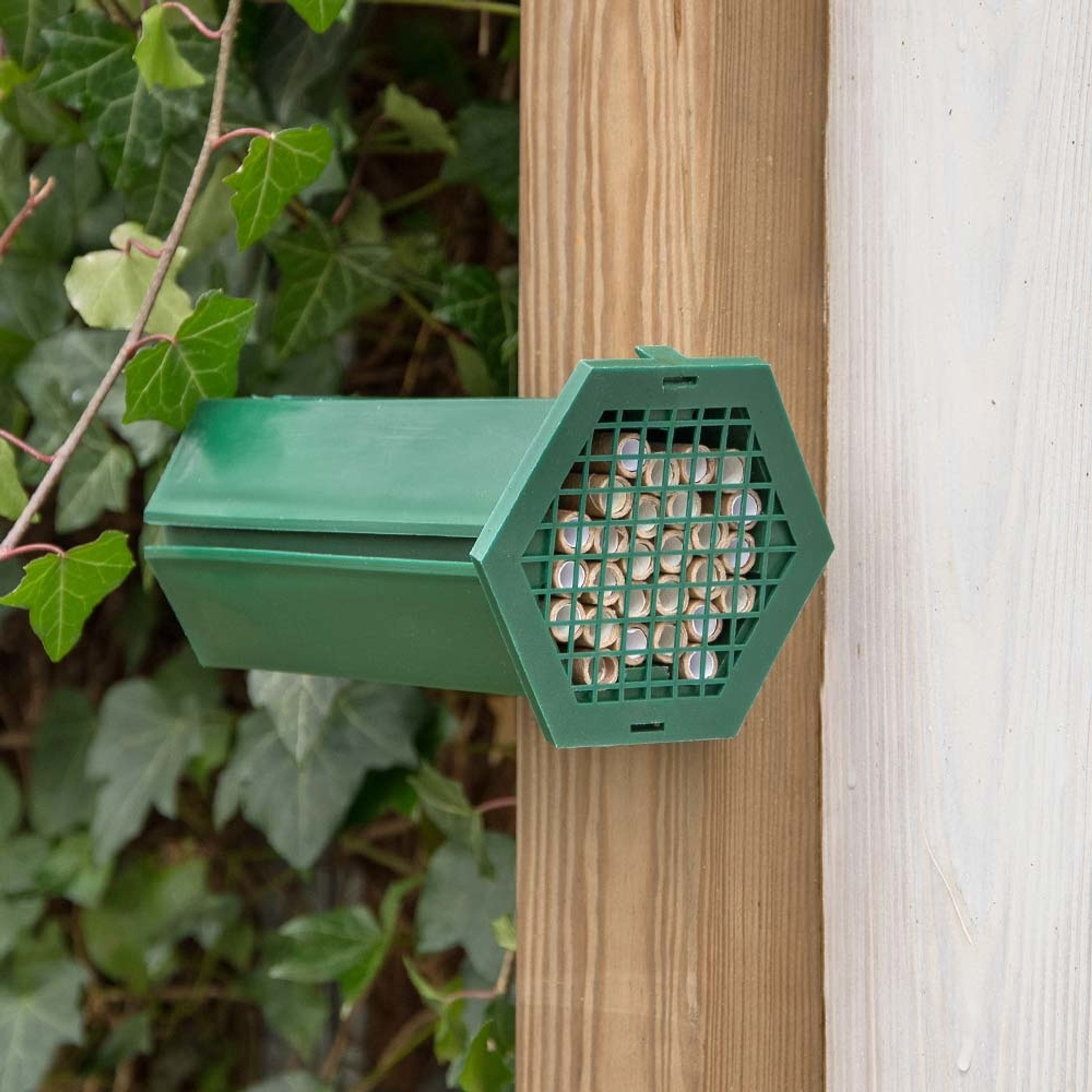 Meilleurs prix pour Nichoir pour abeilles solitaires | CJ Wildlife