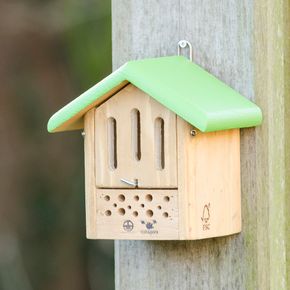 Hotel combiné papillons & abeilles | Natagora