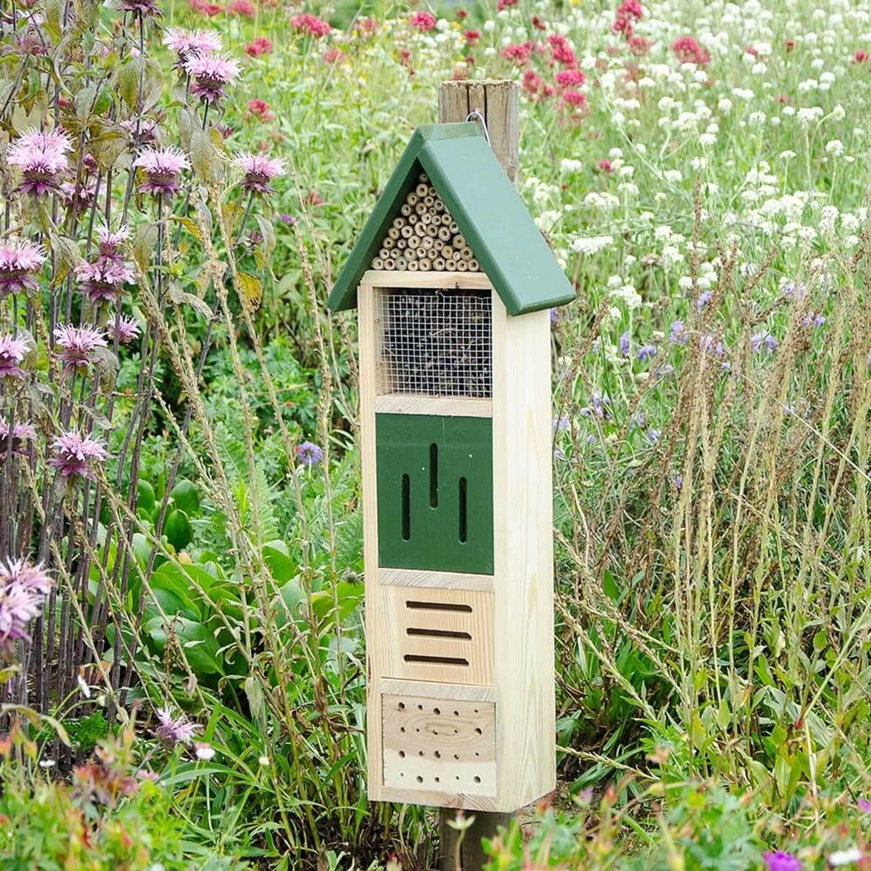 Insektenhotel Elba | CJ Wildlife