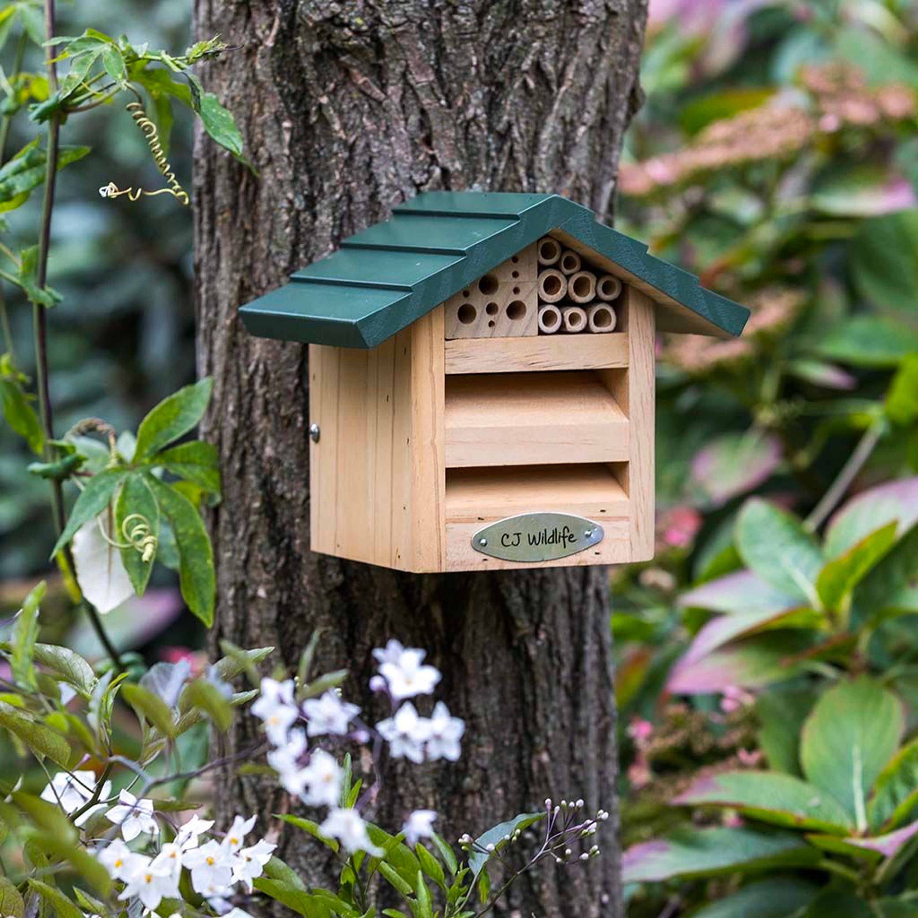 Meilleurs prix pour Hôtel à insectes Alpine - Tignes | CJ Wildlife