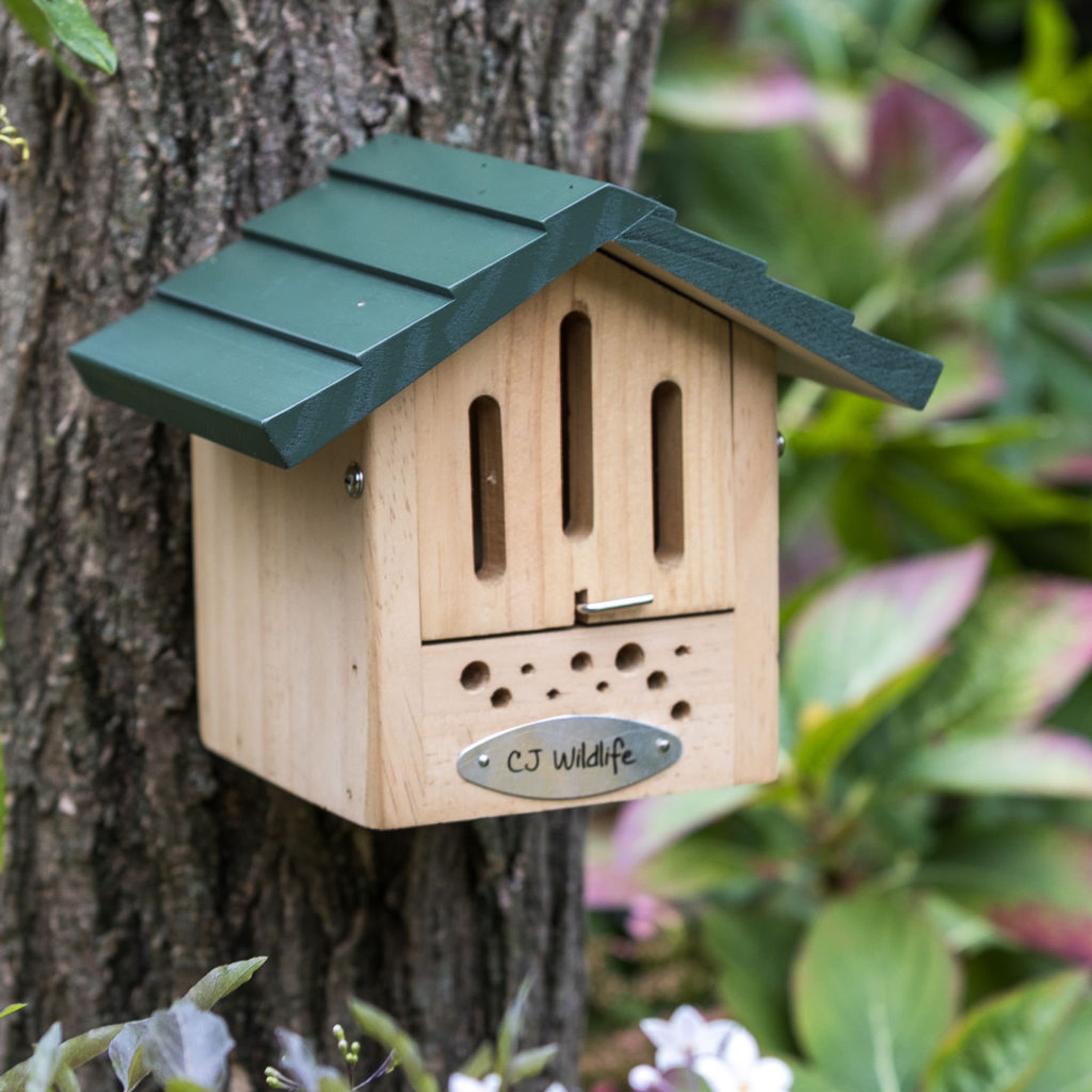 Comparer les prix de Alpine - Hôtel pour Abeilles & Papillons Sybelles | CJ Wildlife