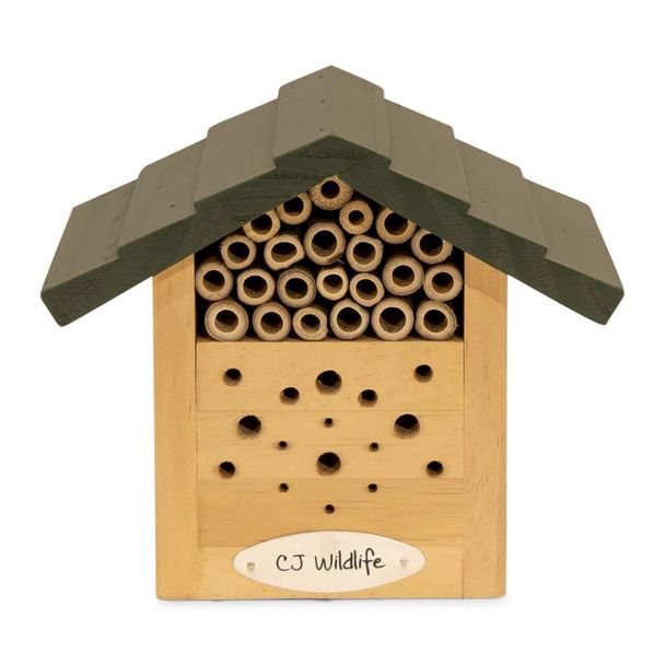 Gastein Alpine Bee Hotel