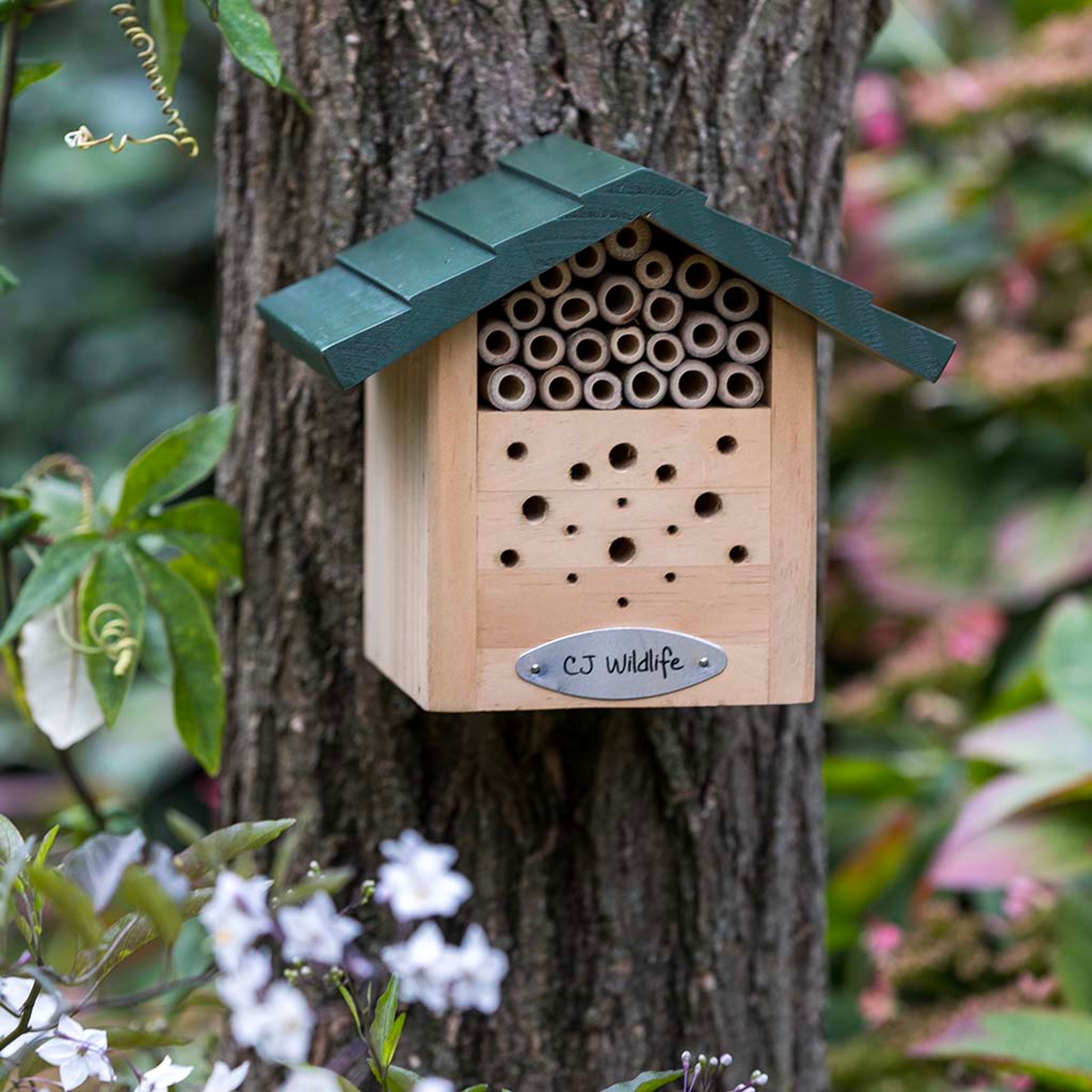 Meilleurs prix pour Alpine - Hôtel pour Abeilles Gastein | CJ Wildlife