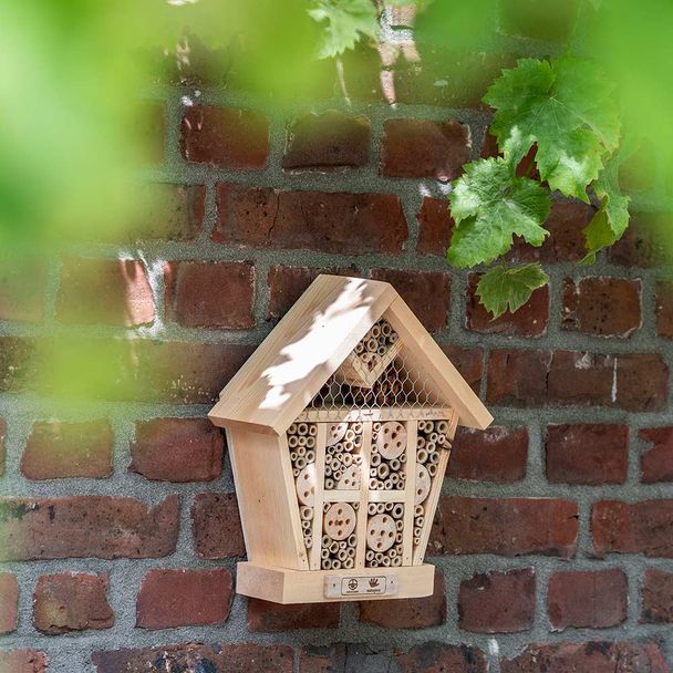 Hôtel pour insectes Sol | Natagora