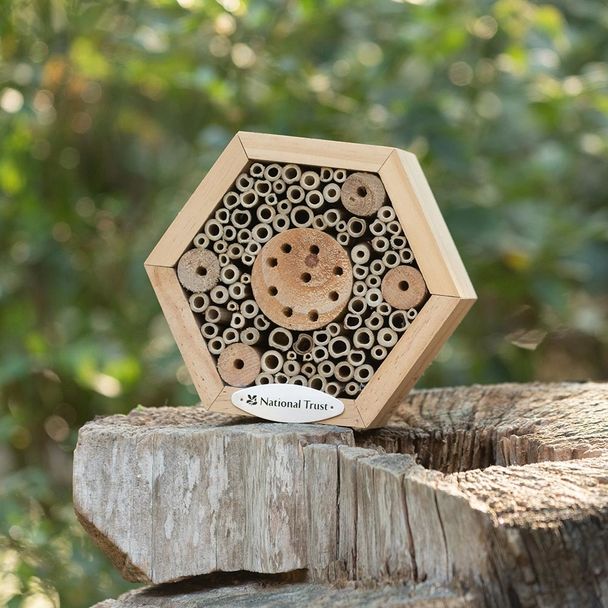 National Trust Hexagon Bee & Insect House