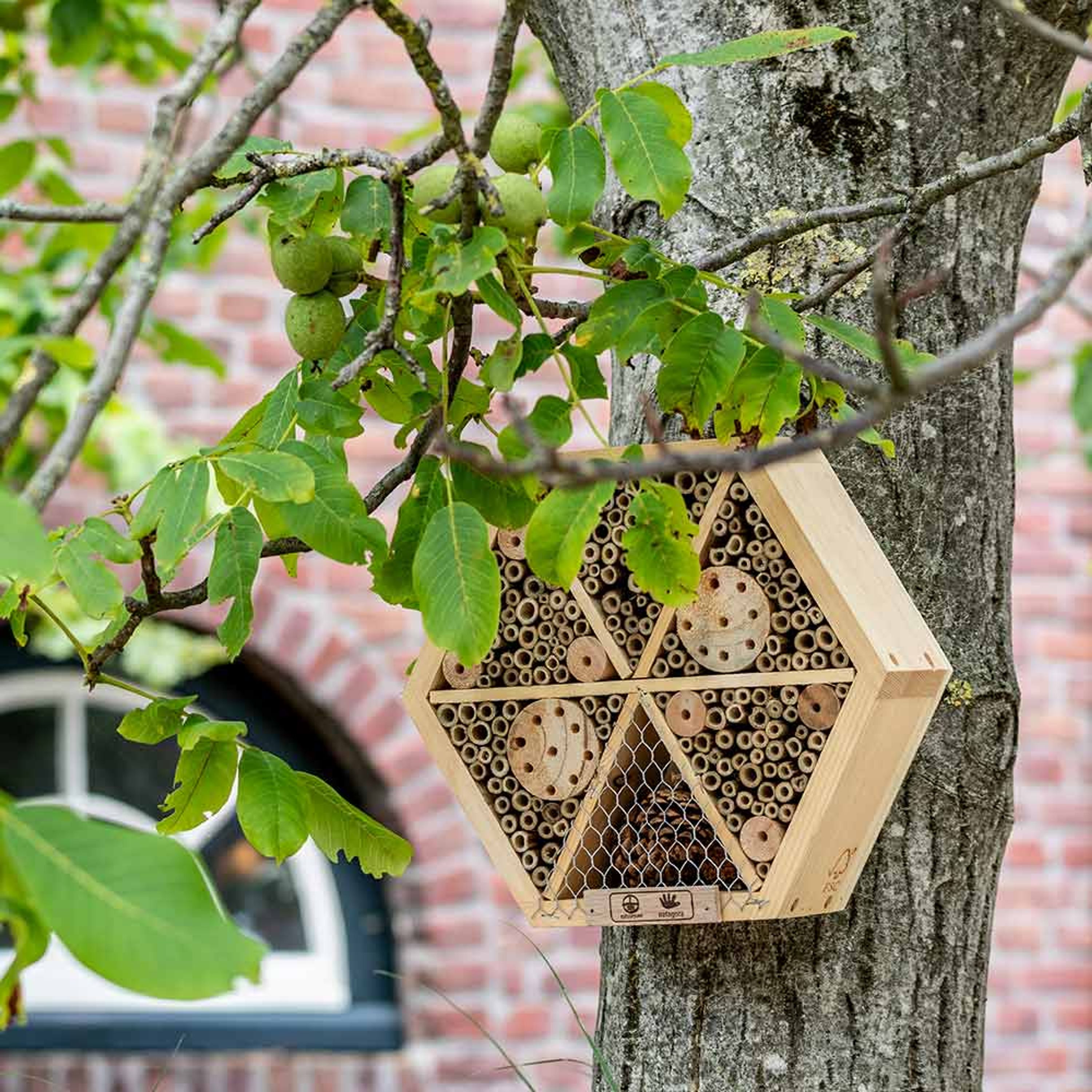 Comparer les prix de Hôtel à insectes Suvan Natagora | Natuurpunt