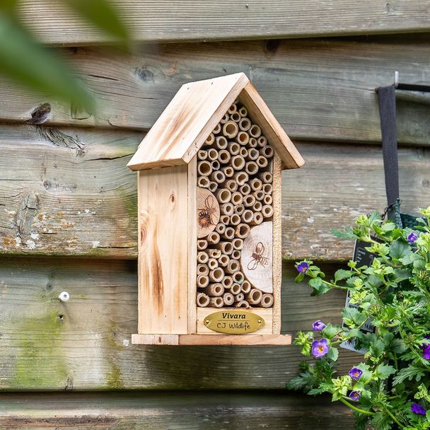 HABA 305505 – Bugs – Gioco Di Memoria Per Bambini – Scopri Gli Insetti Sotto I Fiori – Nuova Versione