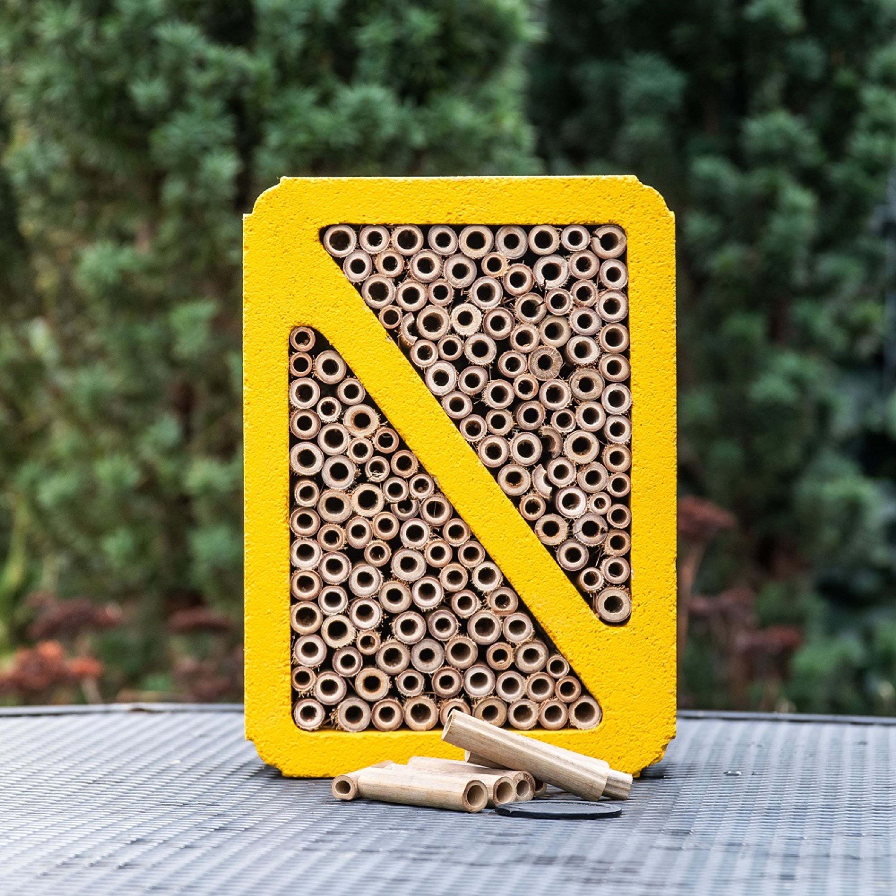 Bambusröhrchen für Woodstone-Insektenhotels 70 mm, 100 Stück | CJ Wildlife