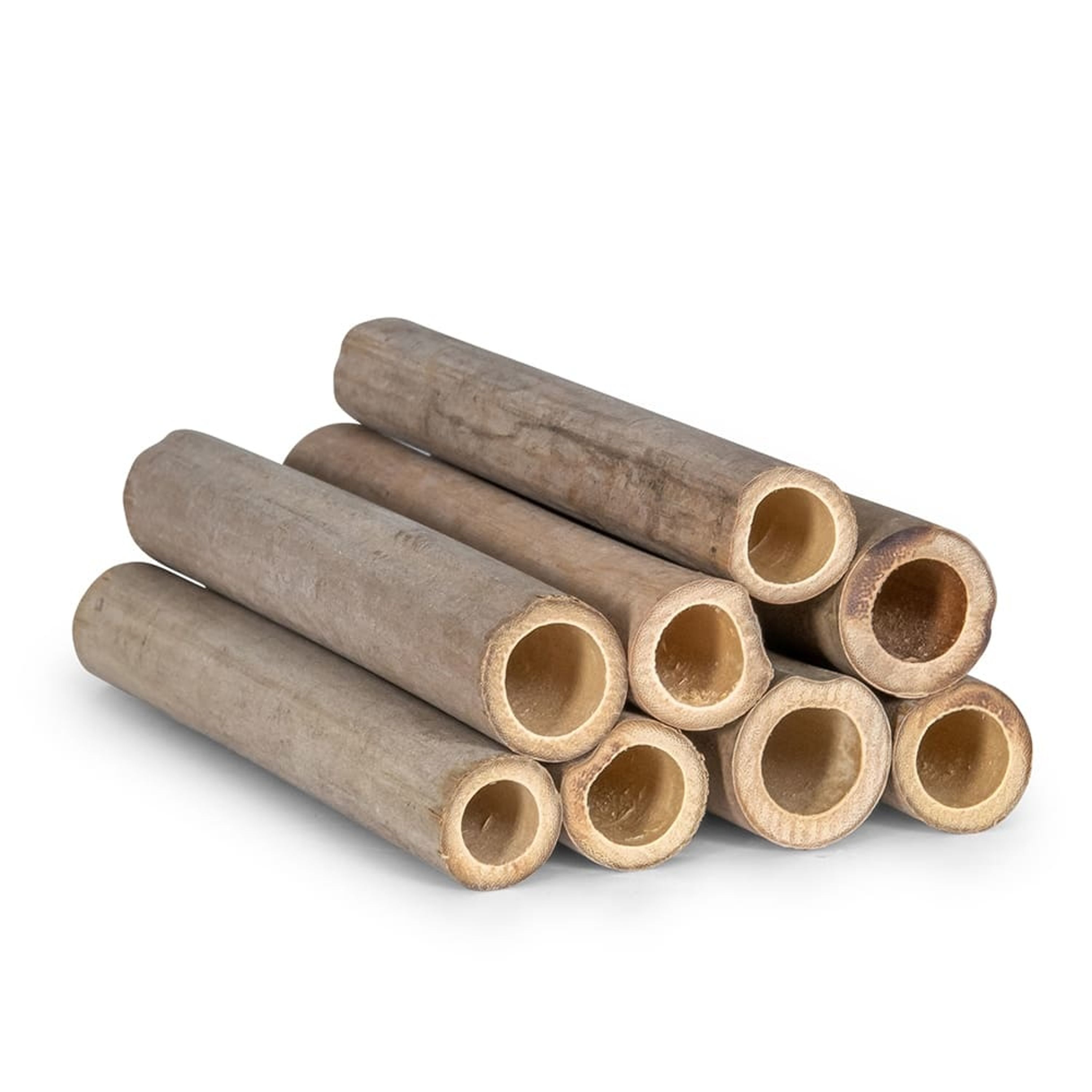 Bambusröhrchen für Woodstone-Insektenhotels 90 mm, 100 Stück | CJ Wildlife