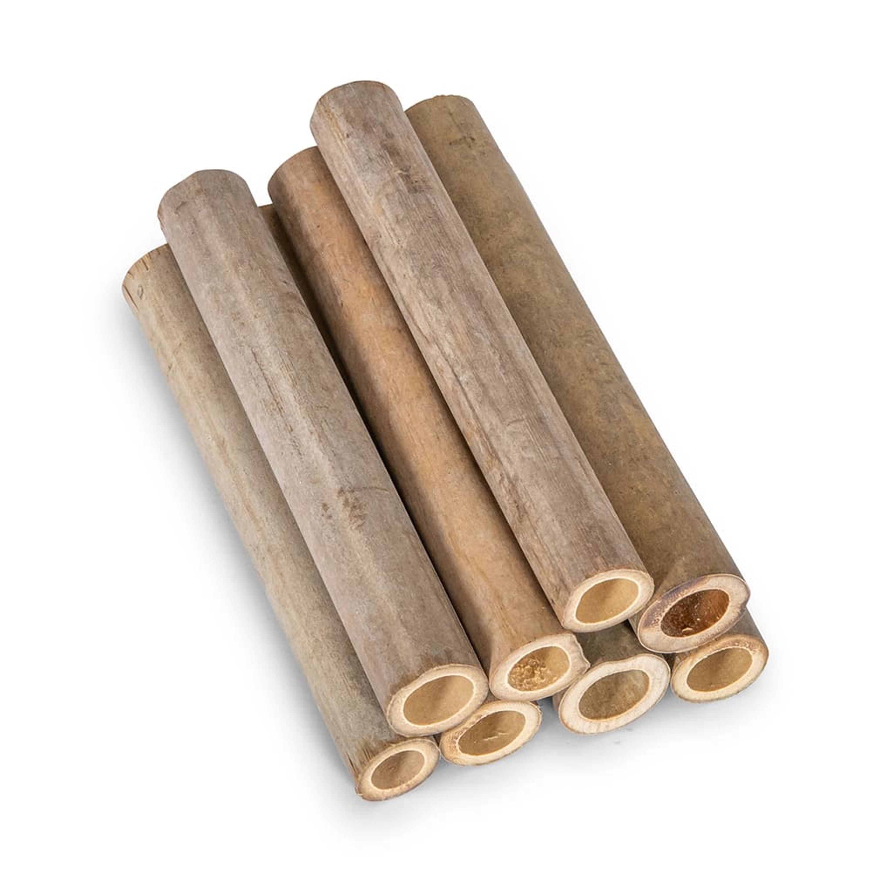 Bambusröhrchen für Woodstone-Insektenhotels 90 mm, 100 Stück | CJ Wildlife