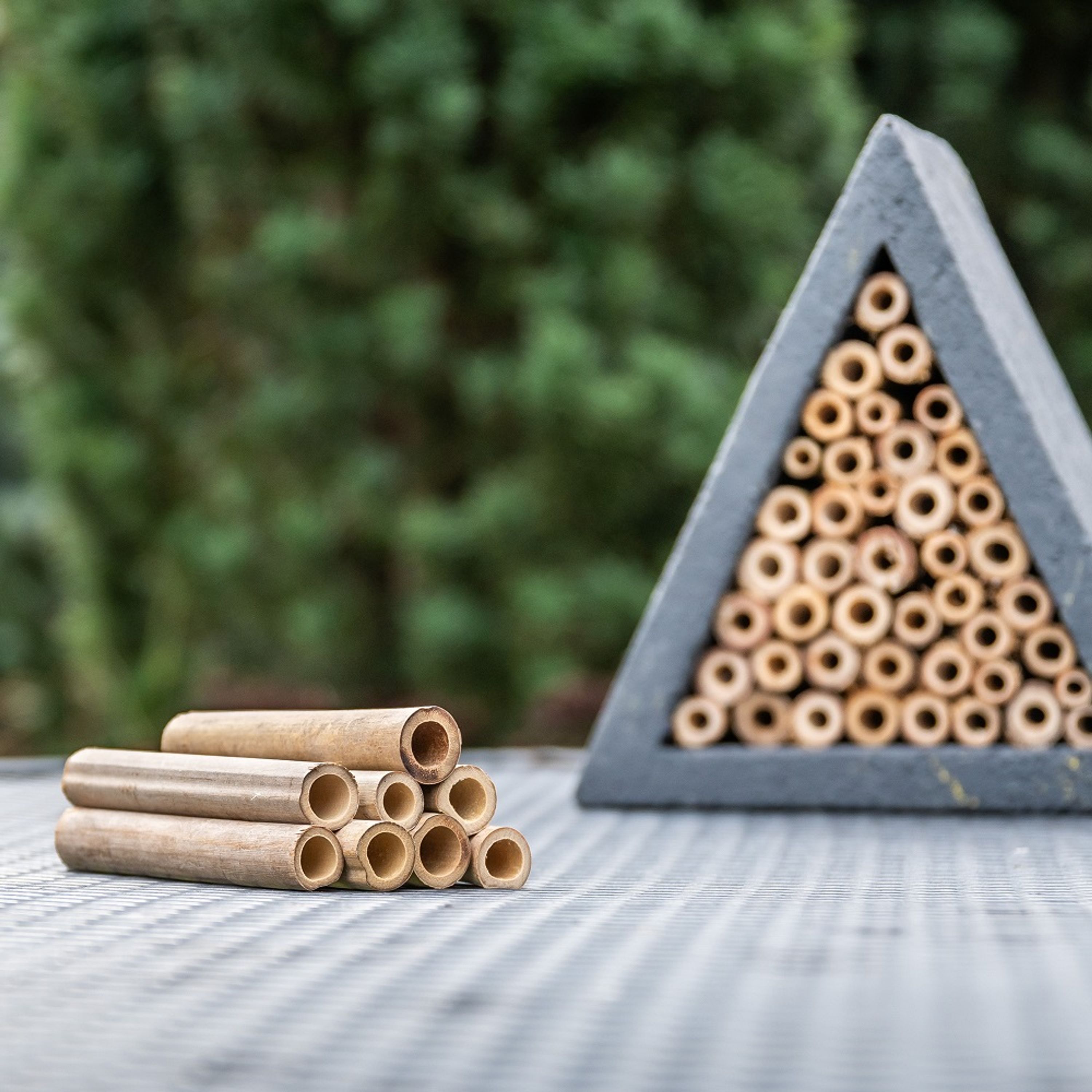 Bambusröhrchen für Woodstone-Insektenhotels 90 mm, 100 Stück | CJ Wildlife