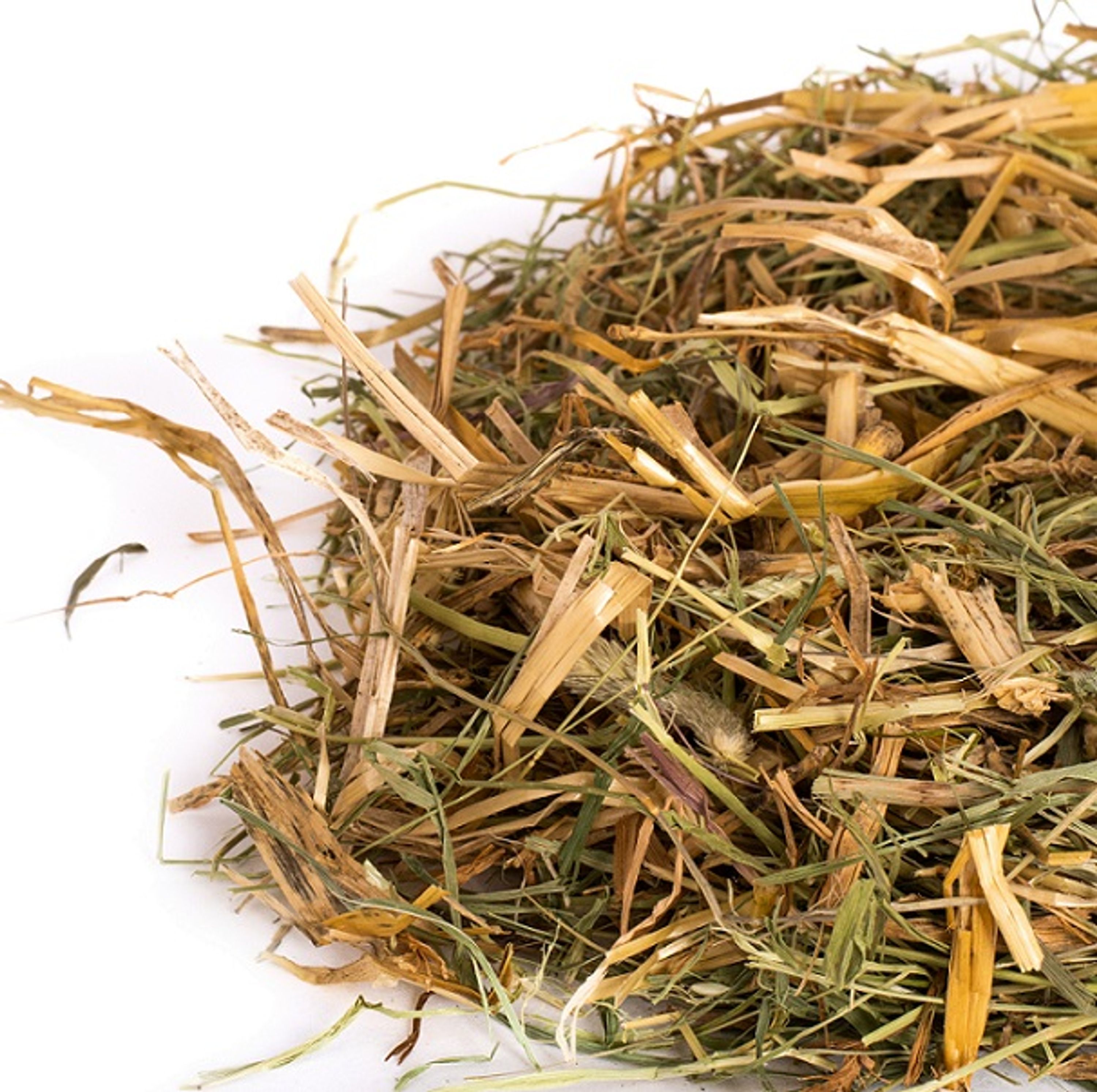Einstreu für Igelhäuser | CJ Wildlife