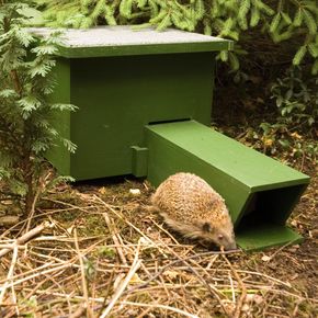 Eco Hedgehog Feeding Shelter