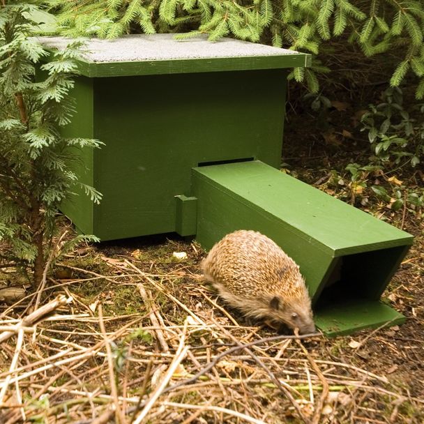 Eco Hedgehog Feeding Shelter