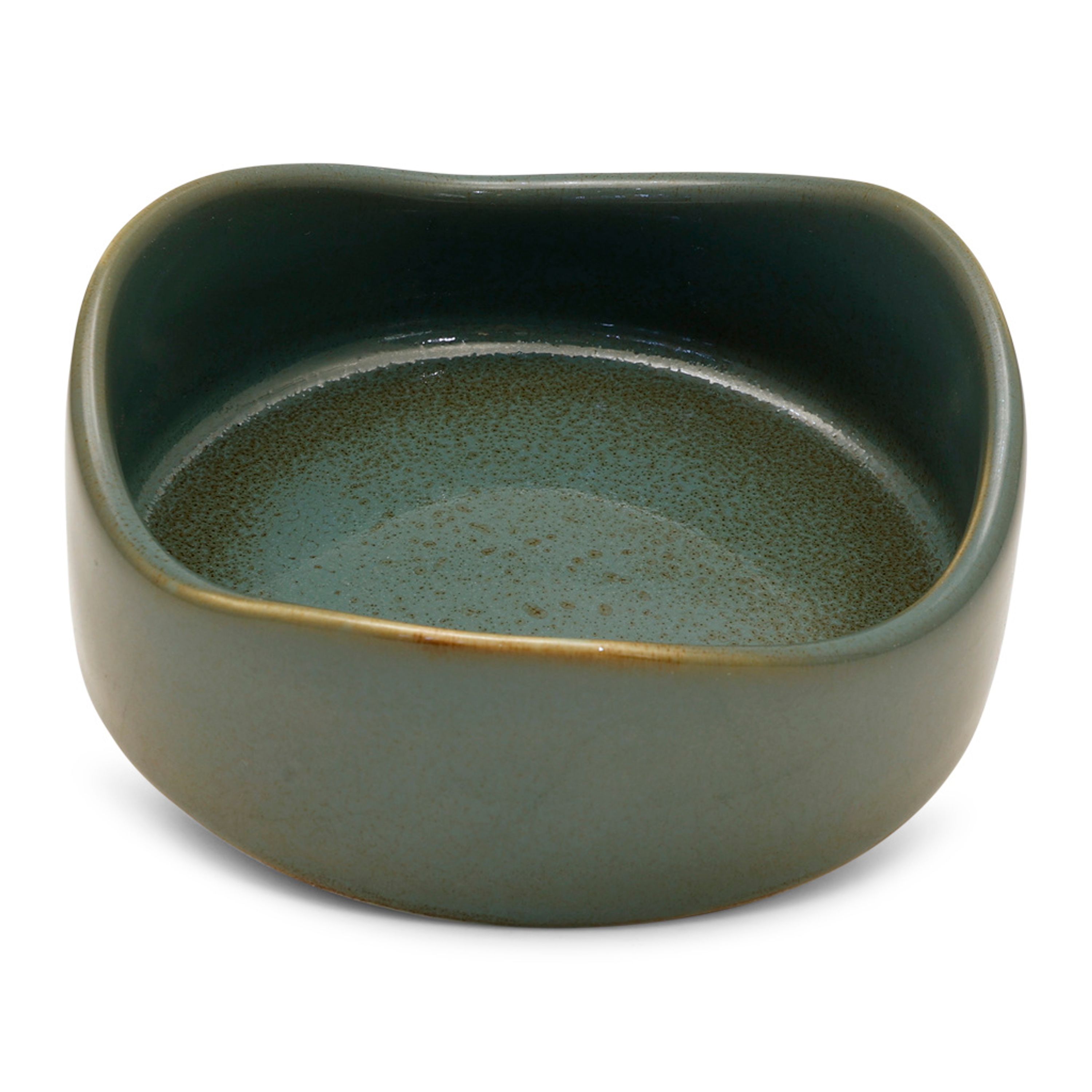 Meilleurs prix pour Bol pour hérissons Vierno | CJ Wildlife