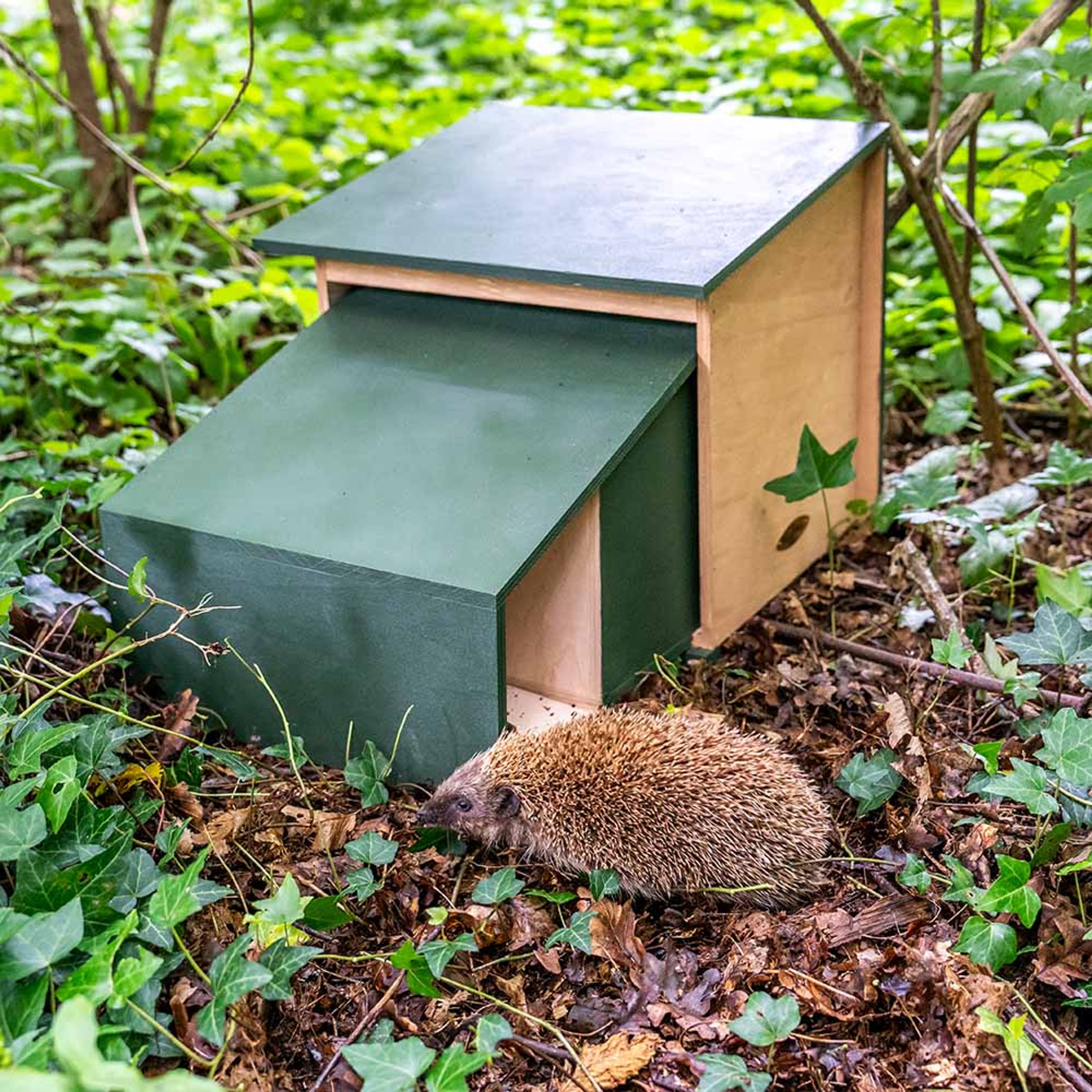 Comparer les prix de Cabane pour hérisson XL | CJ Wildlife