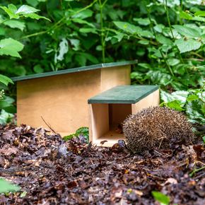 Abri pour hérisson