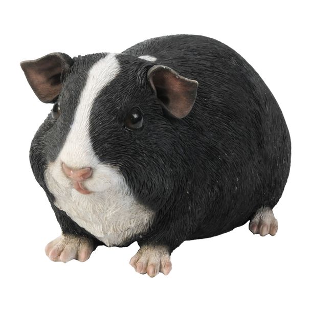 Cochon d'Inde style 1 (Polystone)