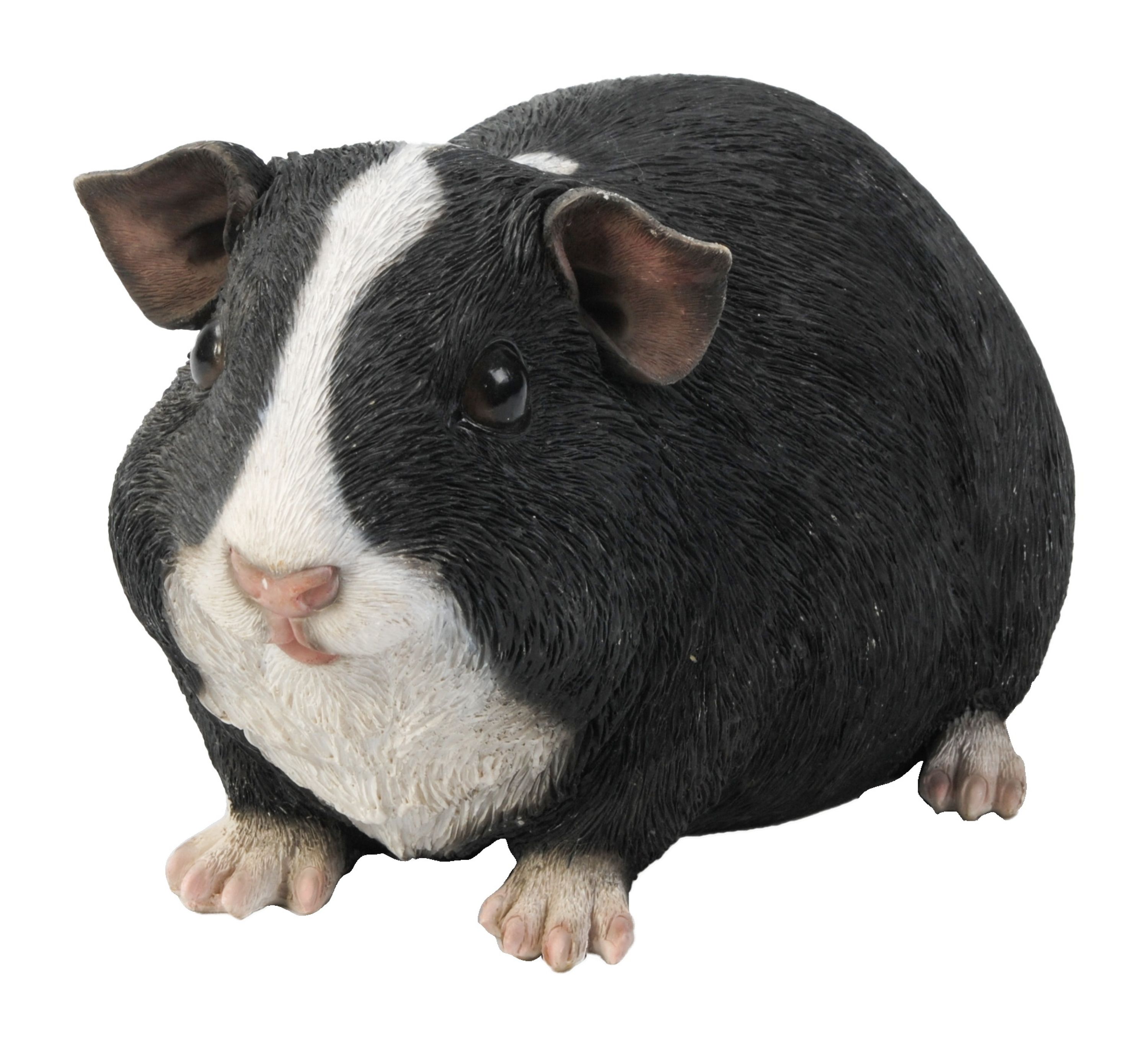 Comparer les prix de Cochon d'Inde style 1 (Polystone) | HotAnt