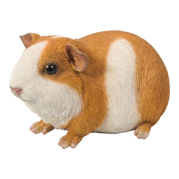 Cochon d'Inde style 2 (Polystone)