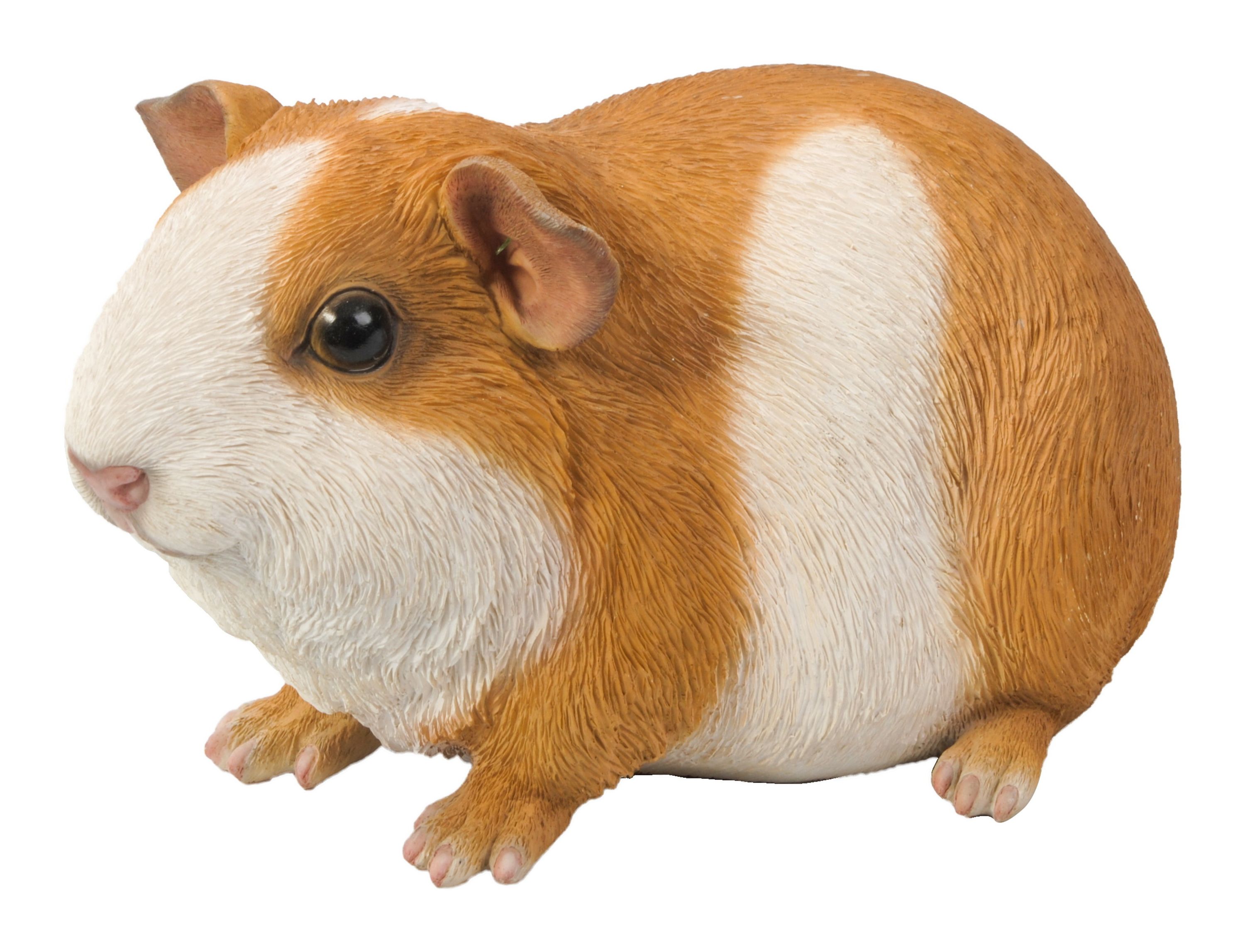 Meilleurs prix pour Cochon d'Inde style 2 (Polystone) | HotAnt