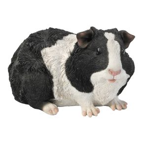 Meerschweinchen Stil 4 (Polystone)