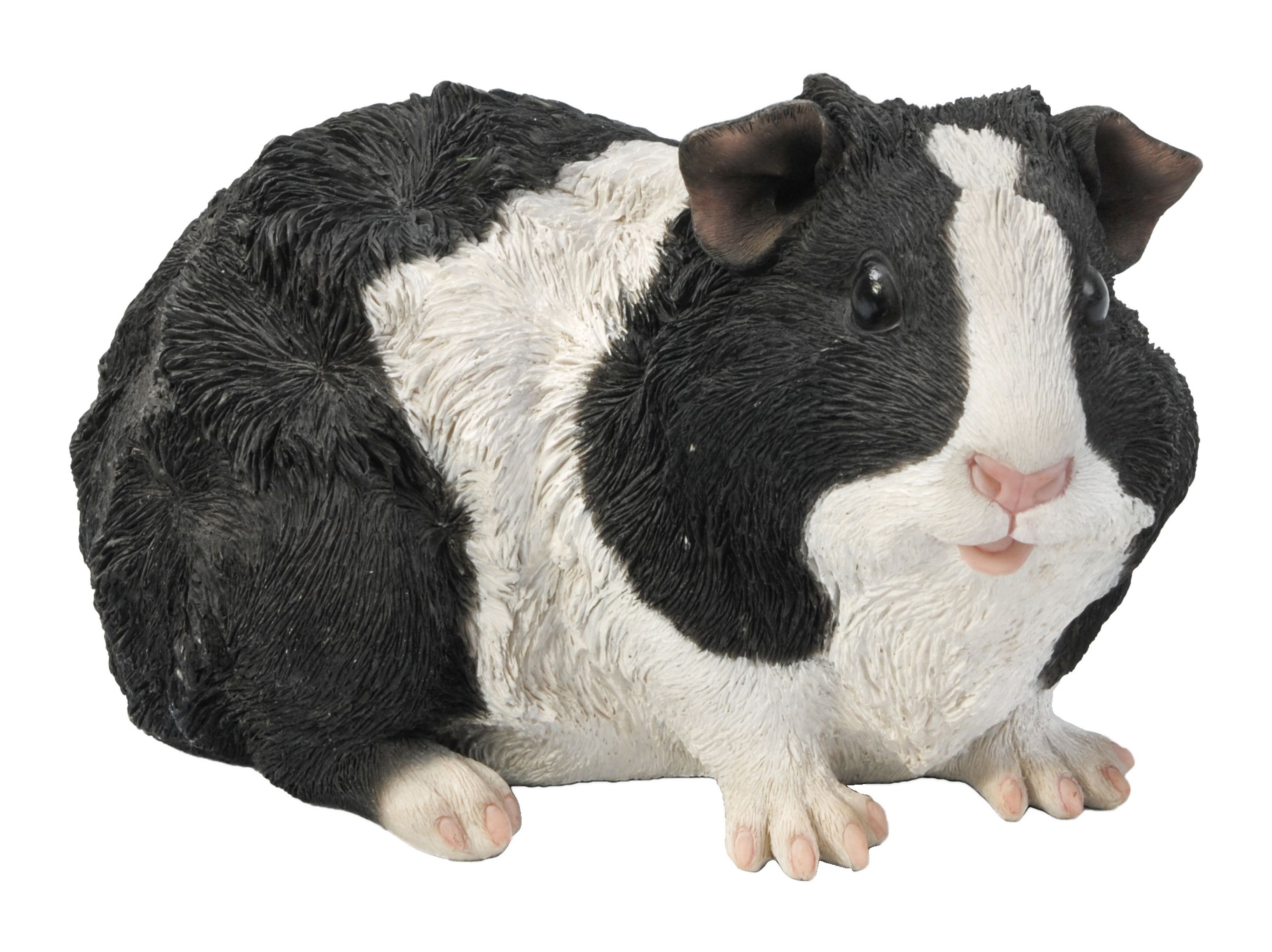 Meilleurs prix pour Cochon d'Inde style 4 (Polystone) | HotAnt