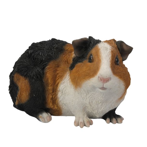 Cochon d'Inde style 5 (Polystone)