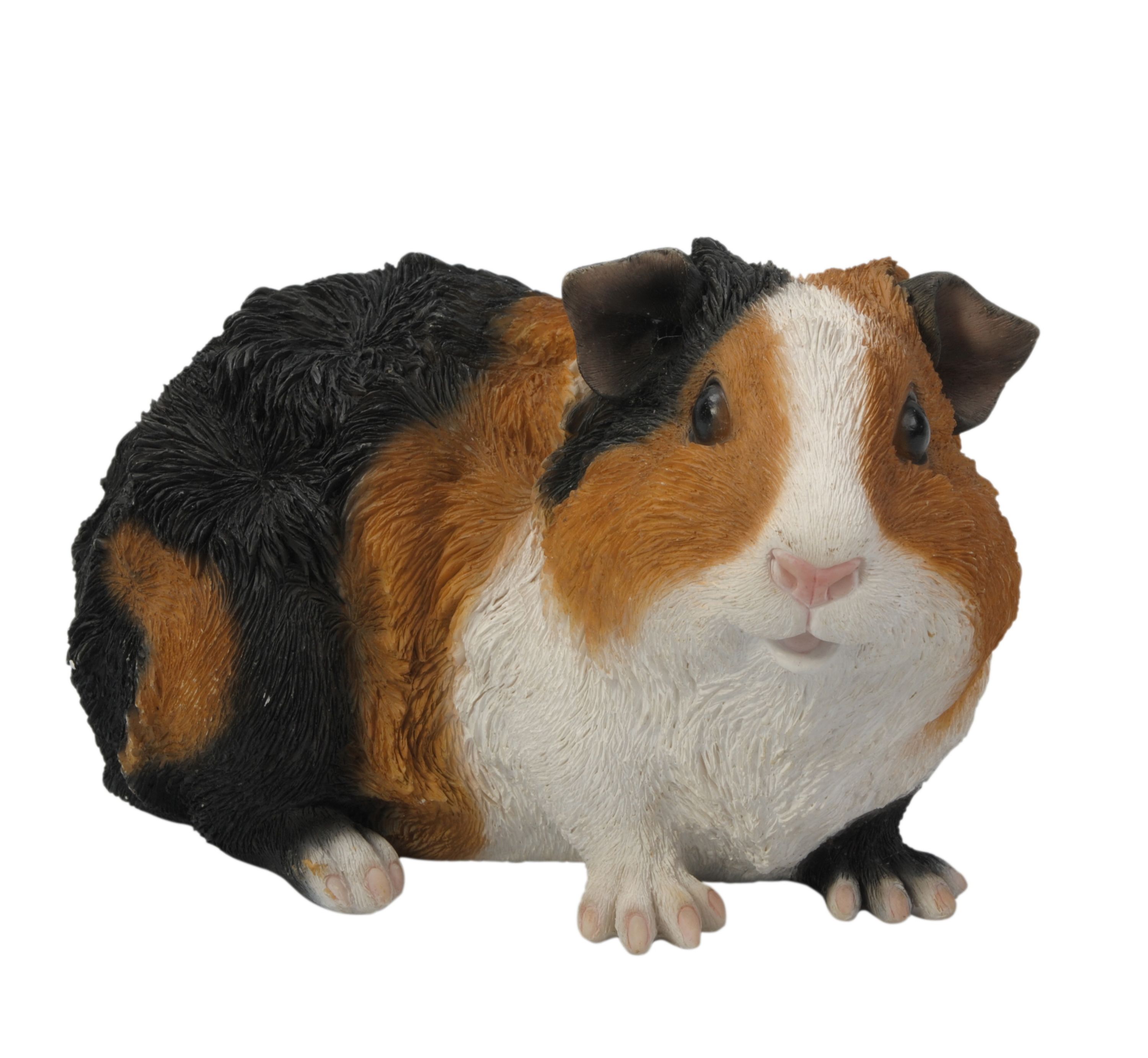 Comparer les prix de Cochon d'Inde style 5 (Polystone) | HotAnt