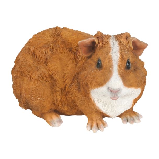 Guinea Pig Style 6