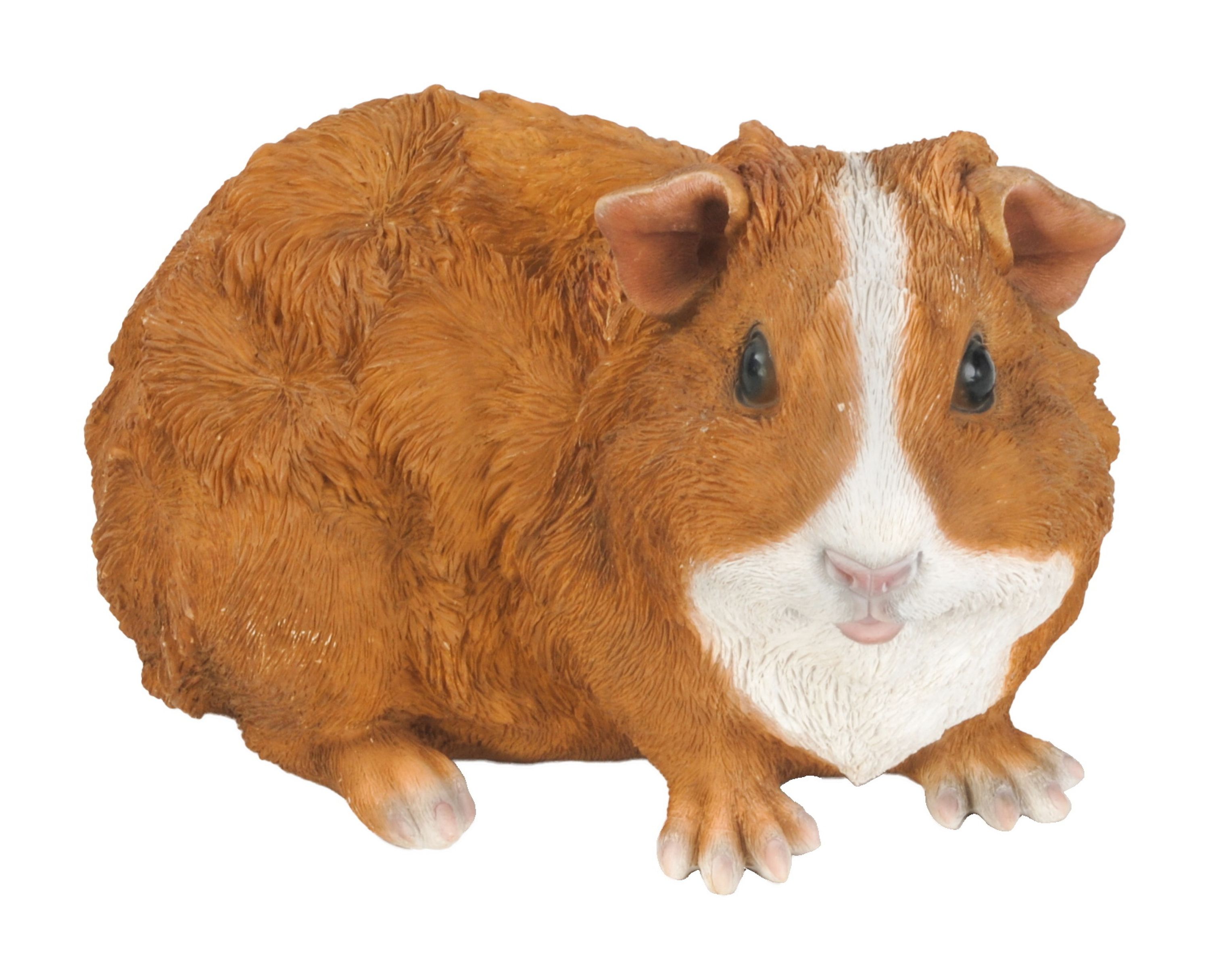 Meilleurs prix pour Cochon d'Inde style 6 (Polystone) | HotAnt