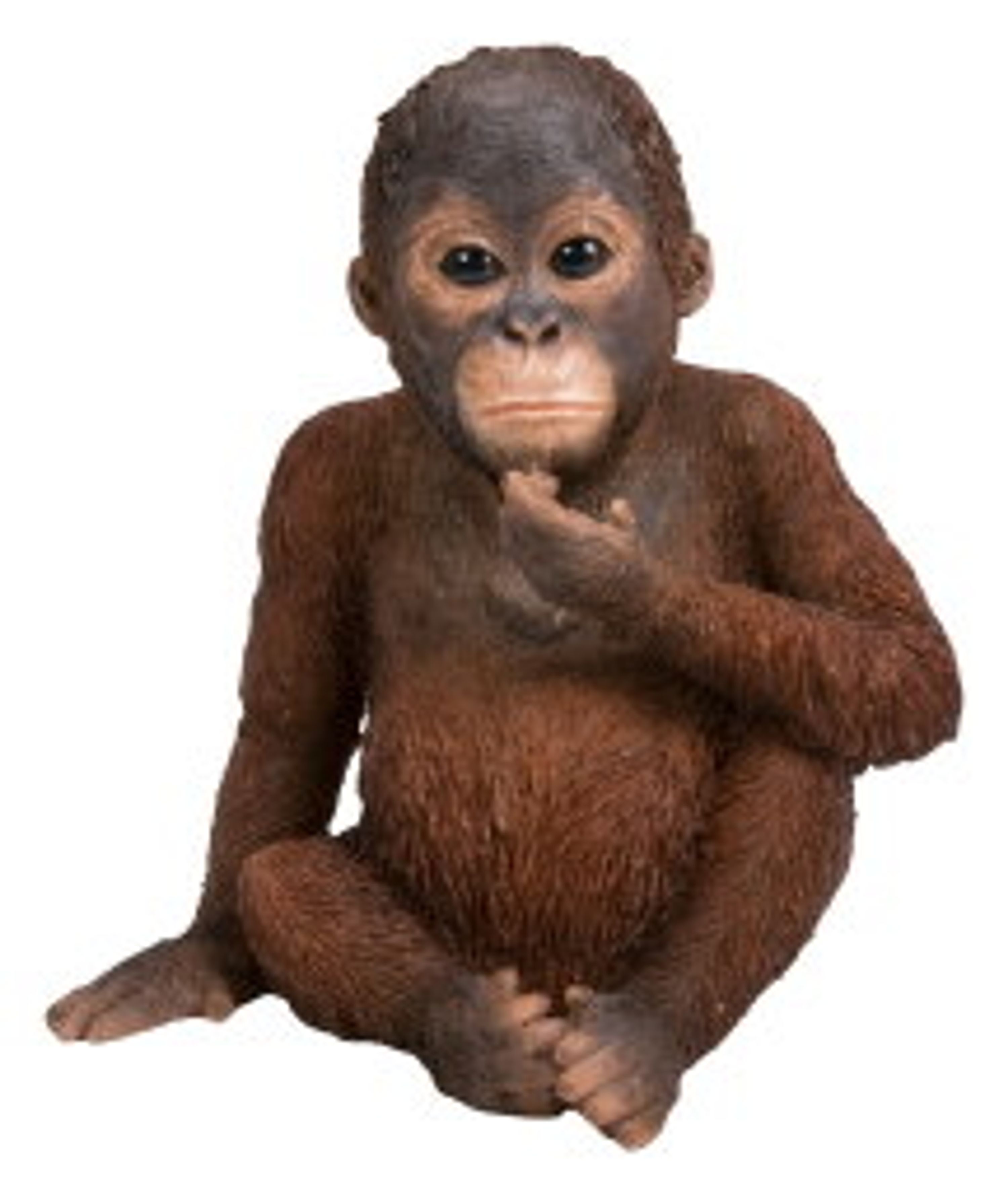 Comparer les prix de Bébé orang-outan (Polystone) | HotAnt