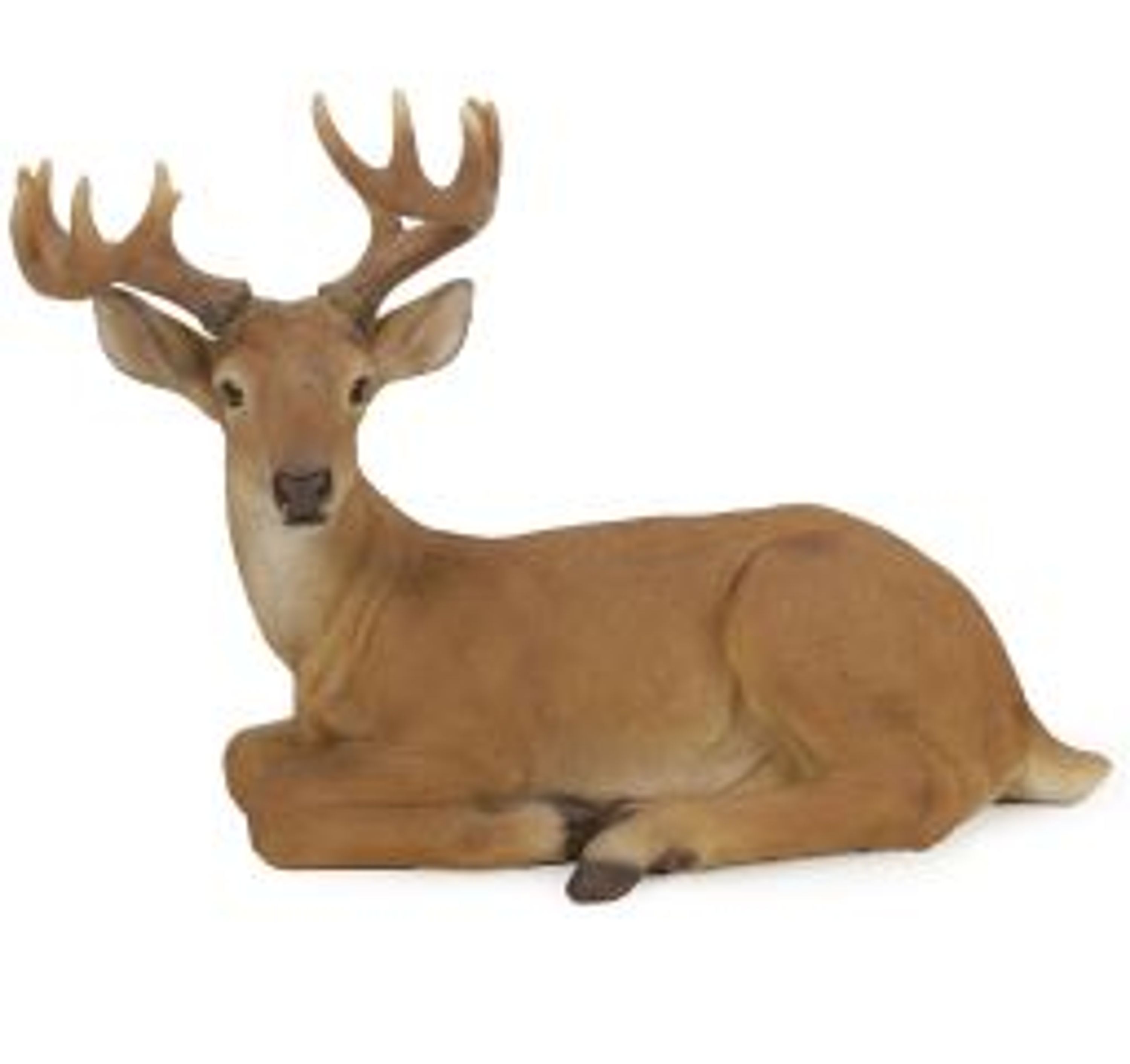 Comparer les prix de Cerf regardant à gauche (Polystone) | HotAnt