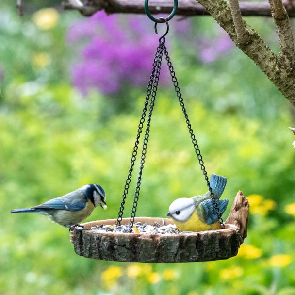 Blue Tit On Hanging Bird Feeder Polystone