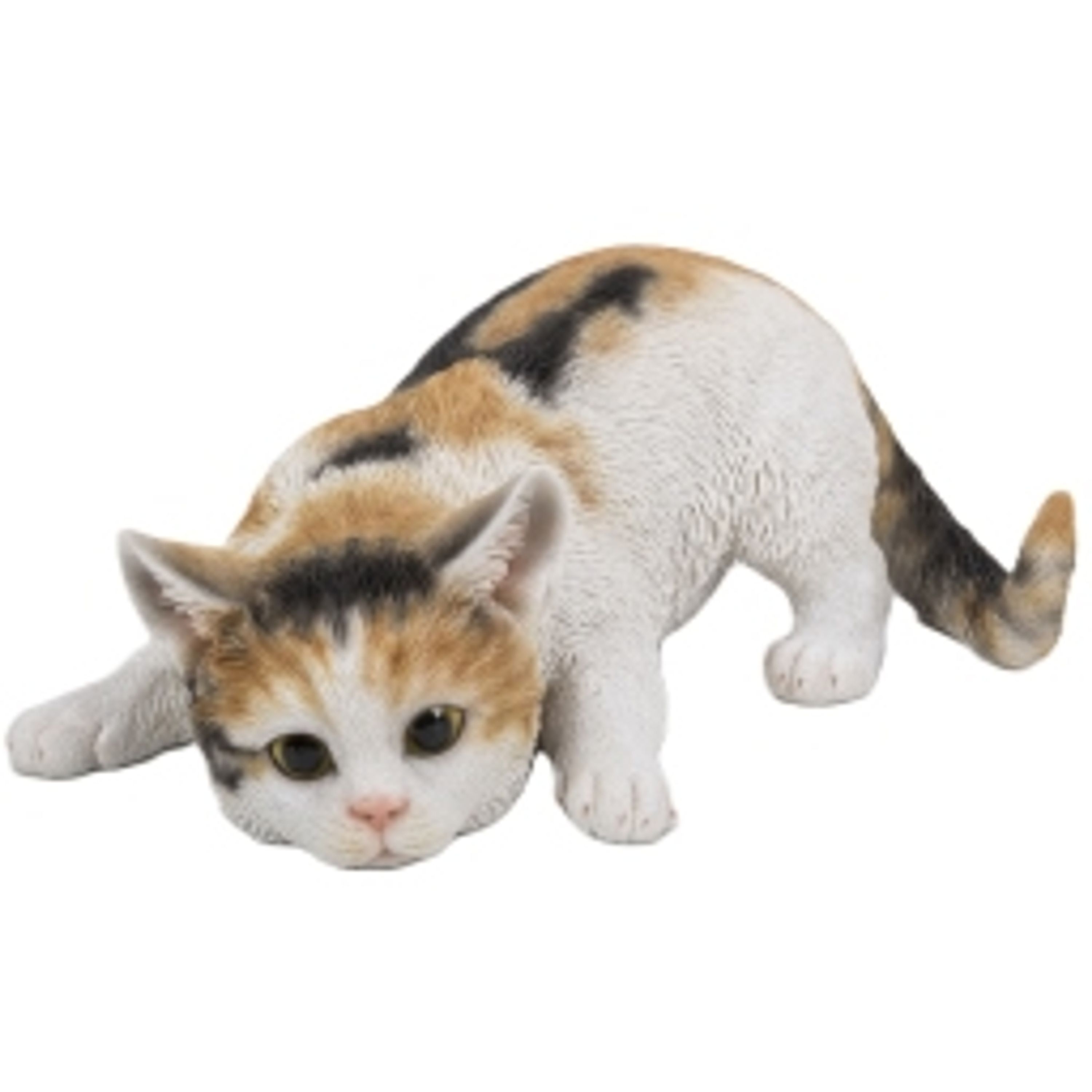 Comparer les prix de Chat en maraude (Polystone) | HotAnt