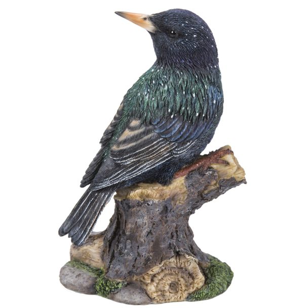 Stær med lyd (Polystone)