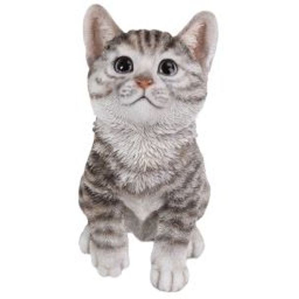 Chaton gris (Polystone)