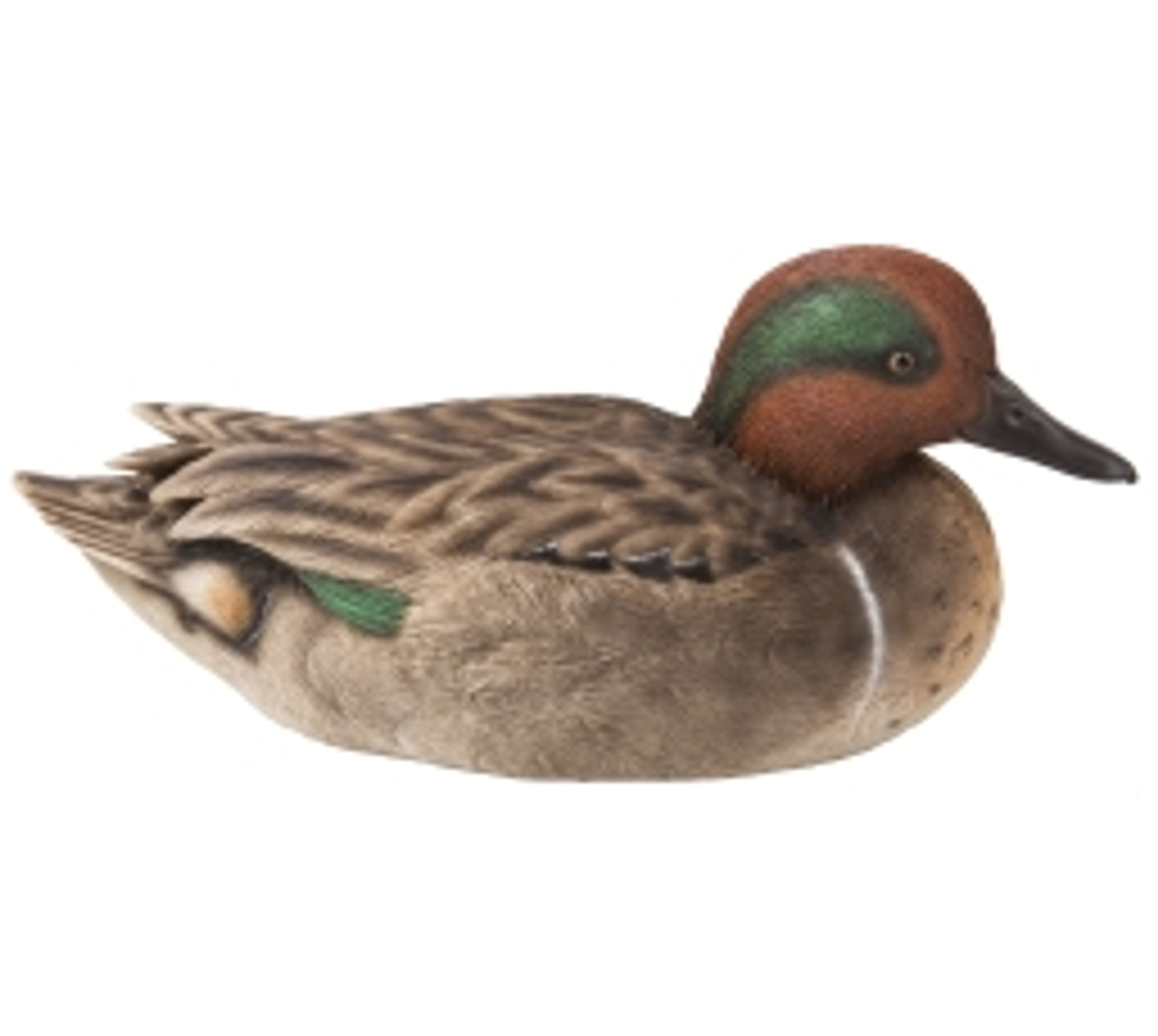 Comparer les prix de Canard moyen (Polystone) | HotAnt