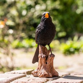 Amsel mit Ton (Polystone)