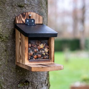 Eichhörnchen-Futterautomat Victoria